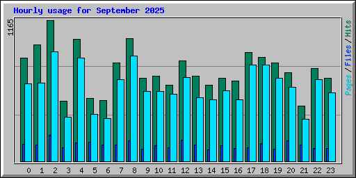 Hourly usage for September 2025