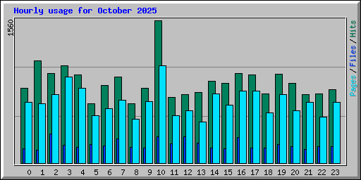 Hourly usage for October 2025