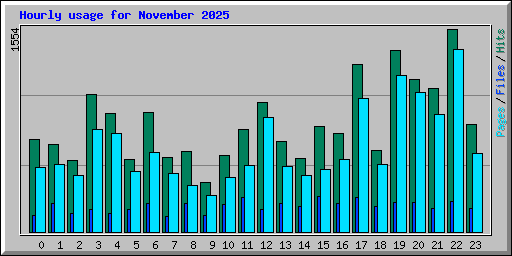 Hourly usage for November 2025
